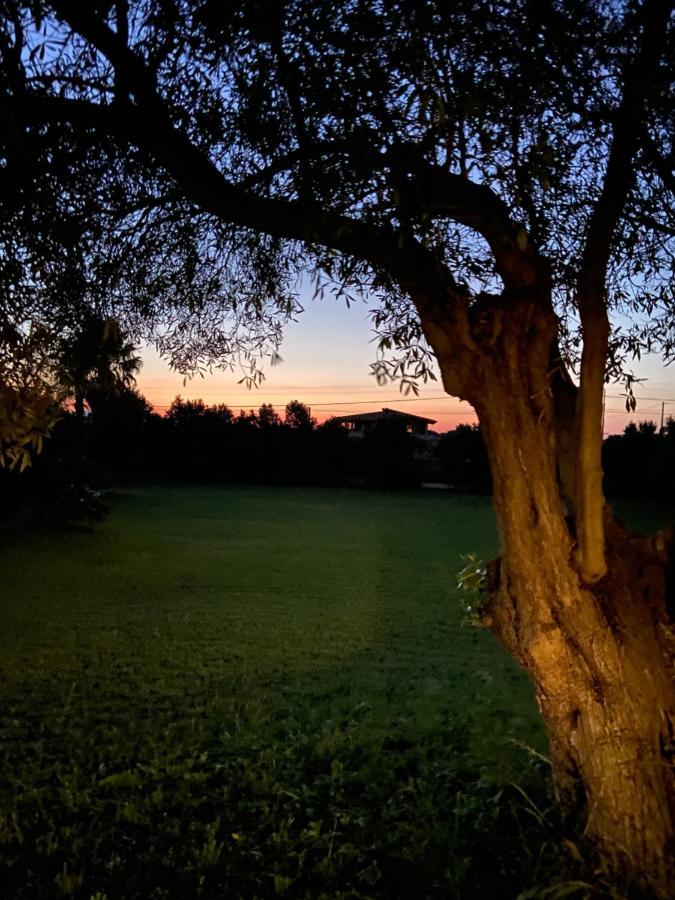 Villa Sarda Assemini Zewnętrze zdjęcie
